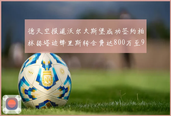 德天空报道沃尔夫斯堡成功签约柏林赫塔边锋里斯转会费达800万至900万欧元