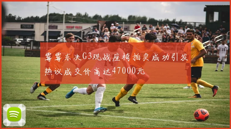 霉霉东决G3观战座椅拍卖成功引发热议成交价高达47000元